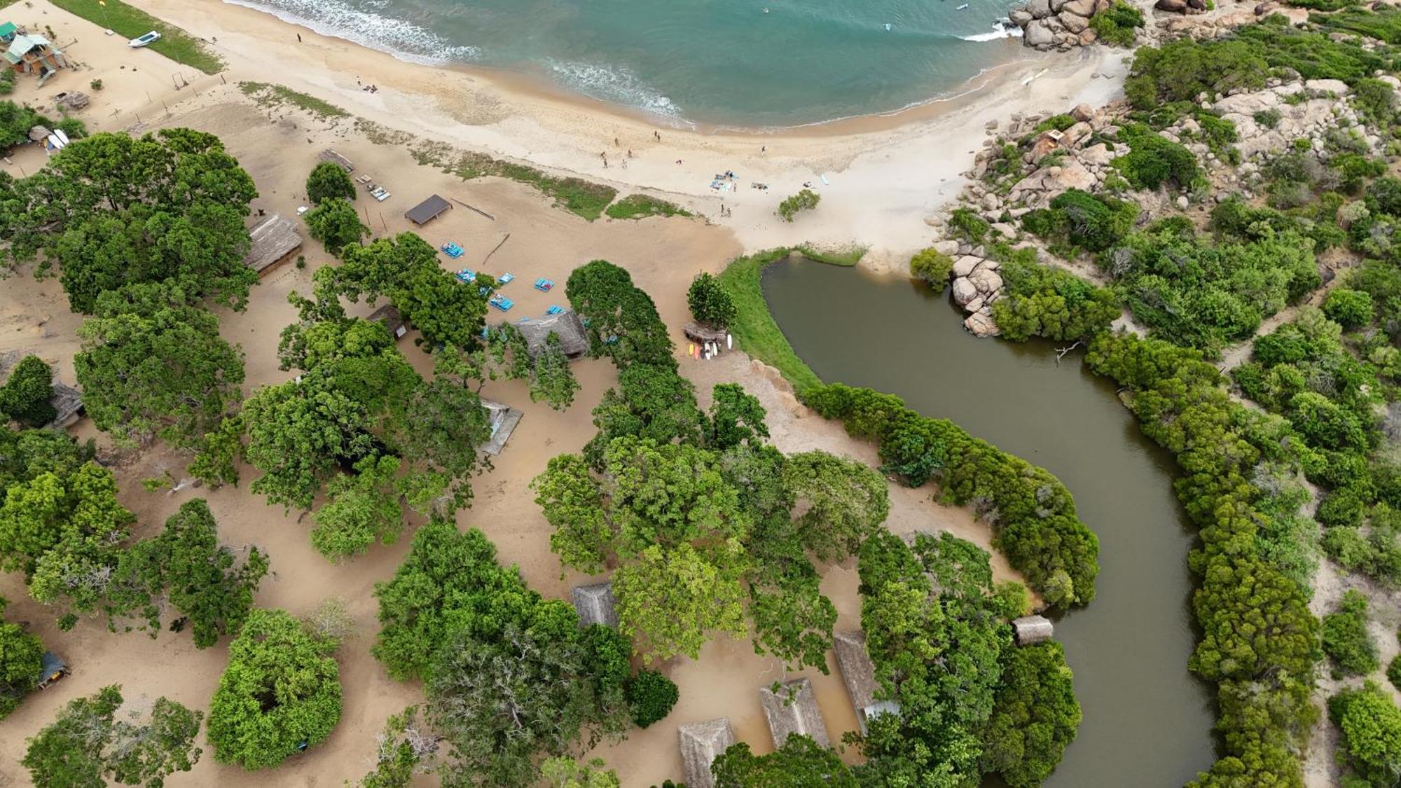 Peanut Farm Surf And Wild Resort - Arugambay Vịnh Arugam Ngoại thất bức ảnh