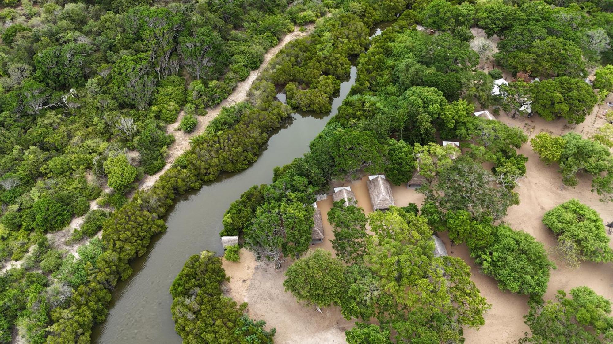Peanut Farm Surf And Wild Resort - Arugambay Vịnh Arugam Ngoại thất bức ảnh