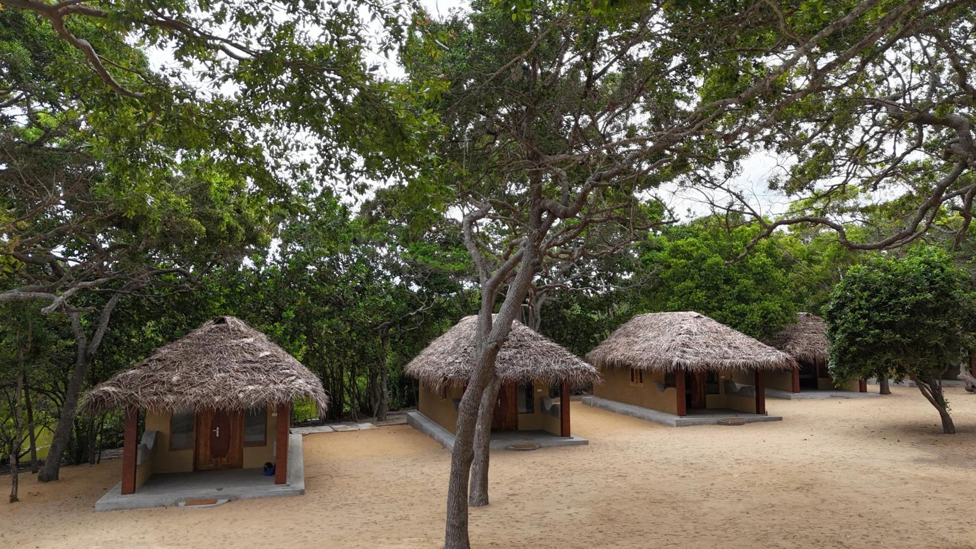 Peanut Farm Surf And Wild Resort - Arugambay Vịnh Arugam Ngoại thất bức ảnh