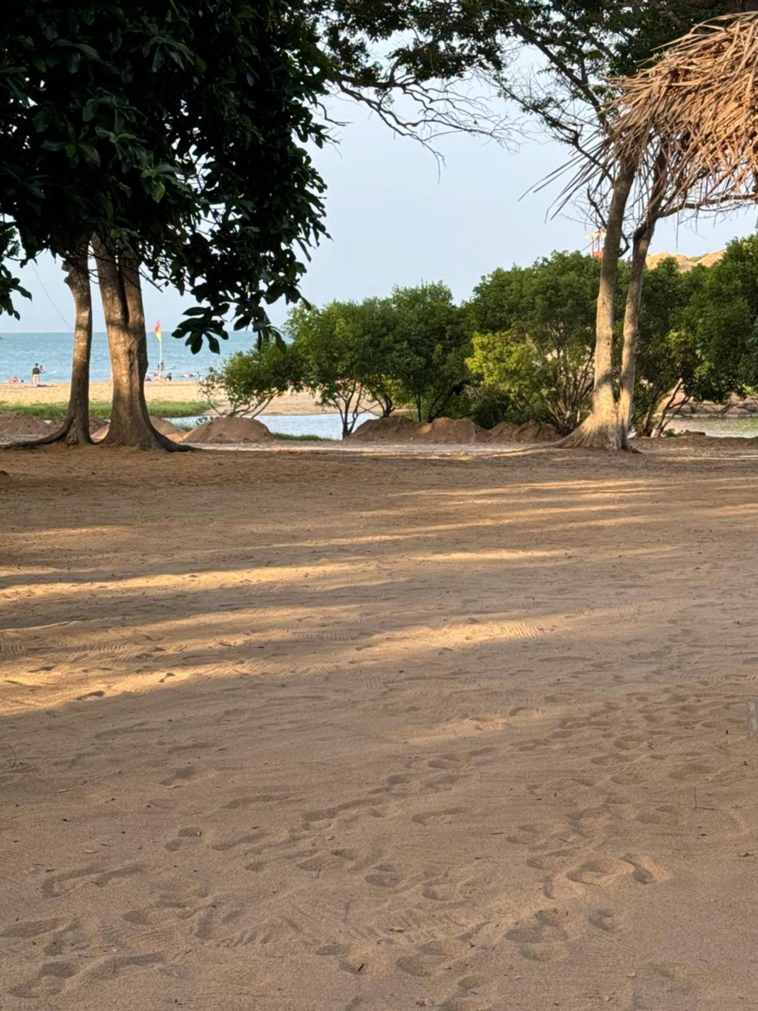 Peanut Farm Surf And Wild Resort - Arugambay Vịnh Arugam Ngoại thất bức ảnh