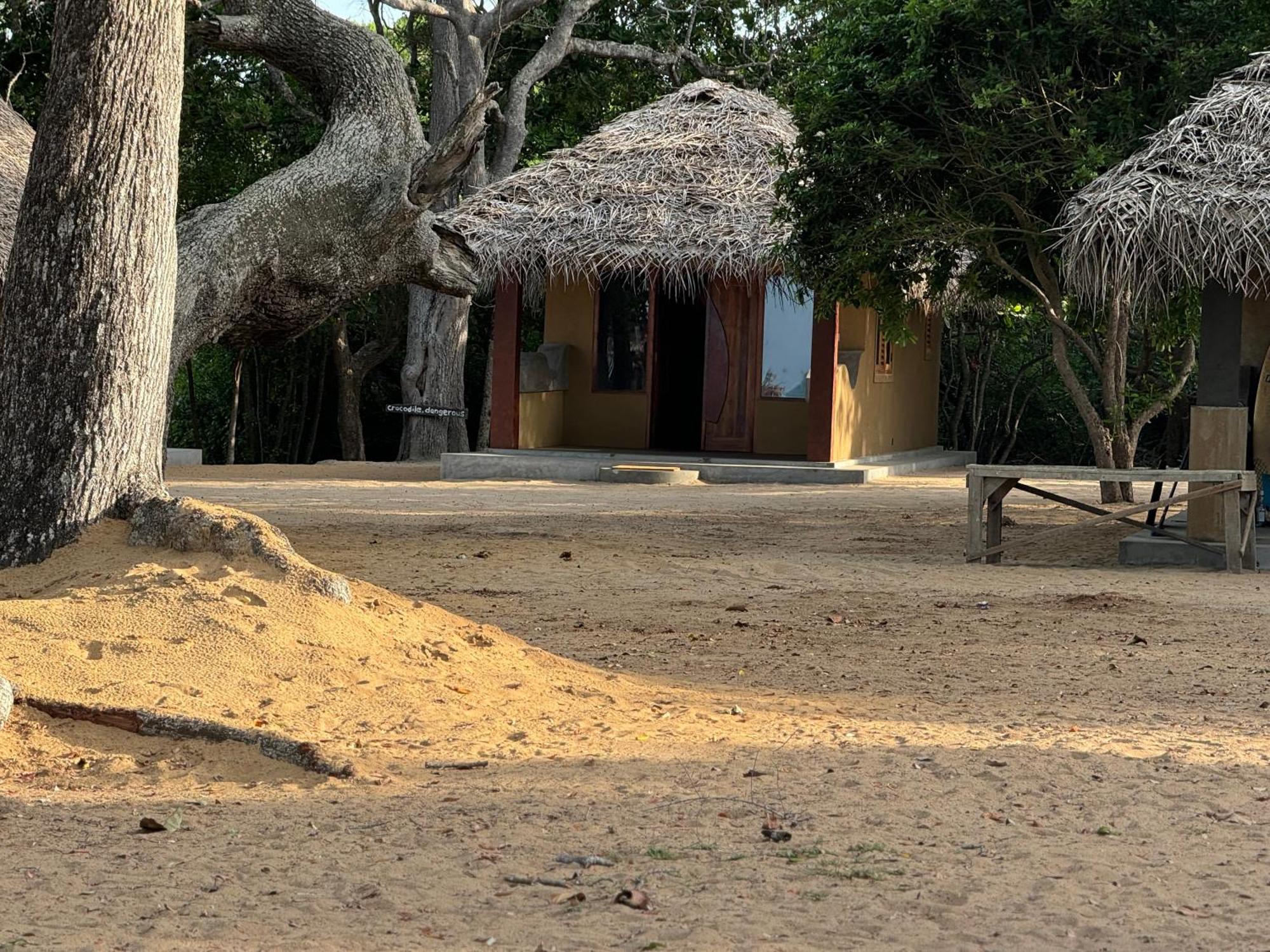 Peanut Farm Surf And Wild Resort - Arugambay Vịnh Arugam Ngoại thất bức ảnh
