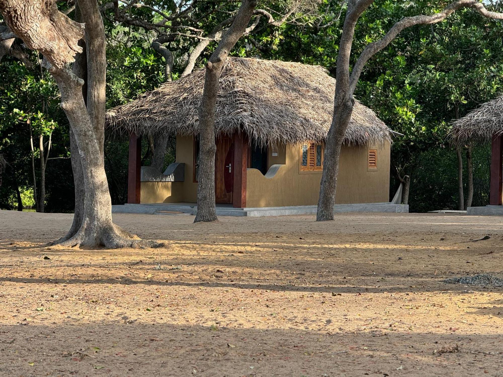 Peanut Farm Surf And Wild Resort - Arugambay Vịnh Arugam Ngoại thất bức ảnh