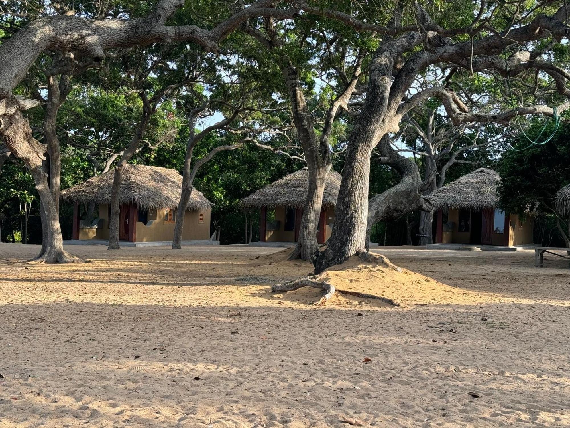 Peanut Farm Surf And Wild Resort - Arugambay Vịnh Arugam Ngoại thất bức ảnh