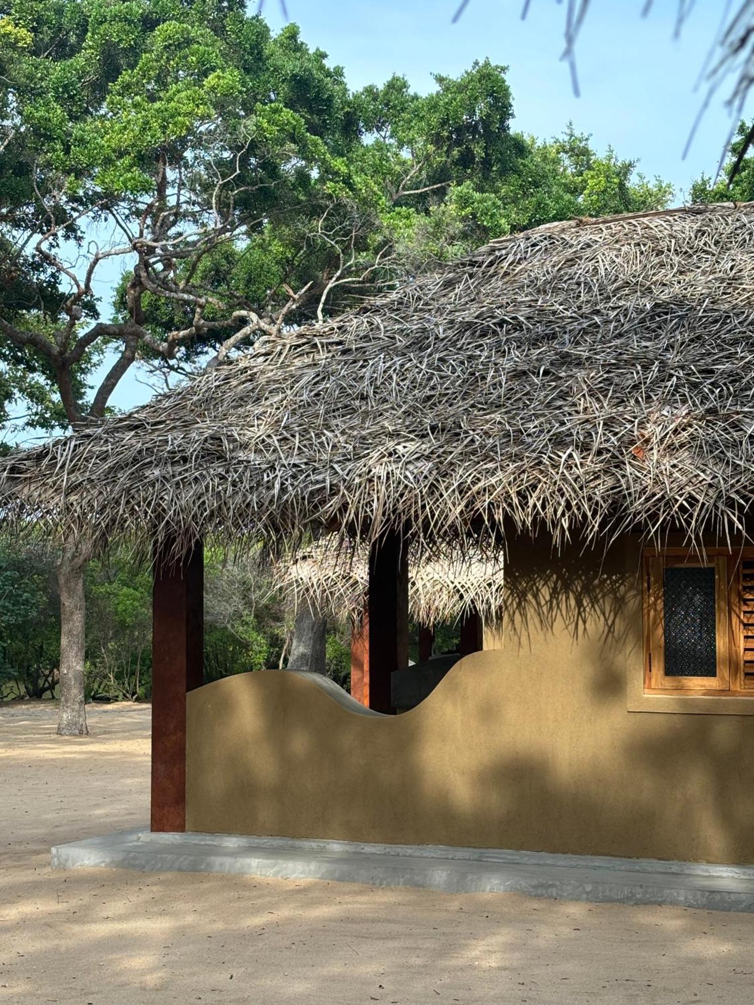 Peanut Farm Surf And Wild Resort - Arugambay Vịnh Arugam Ngoại thất bức ảnh