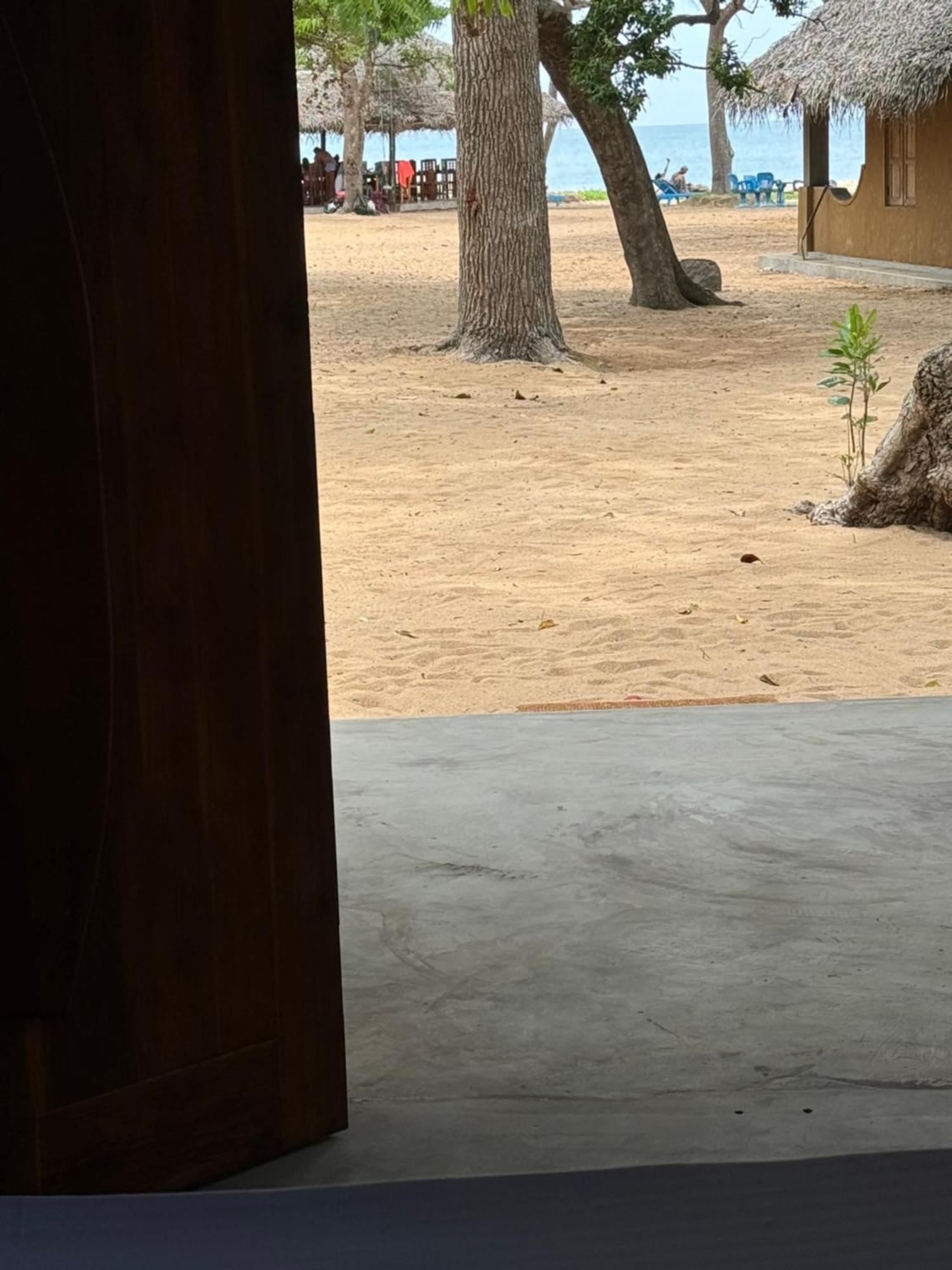 Peanut Farm Surf And Wild Resort - Arugambay Vịnh Arugam Ngoại thất bức ảnh