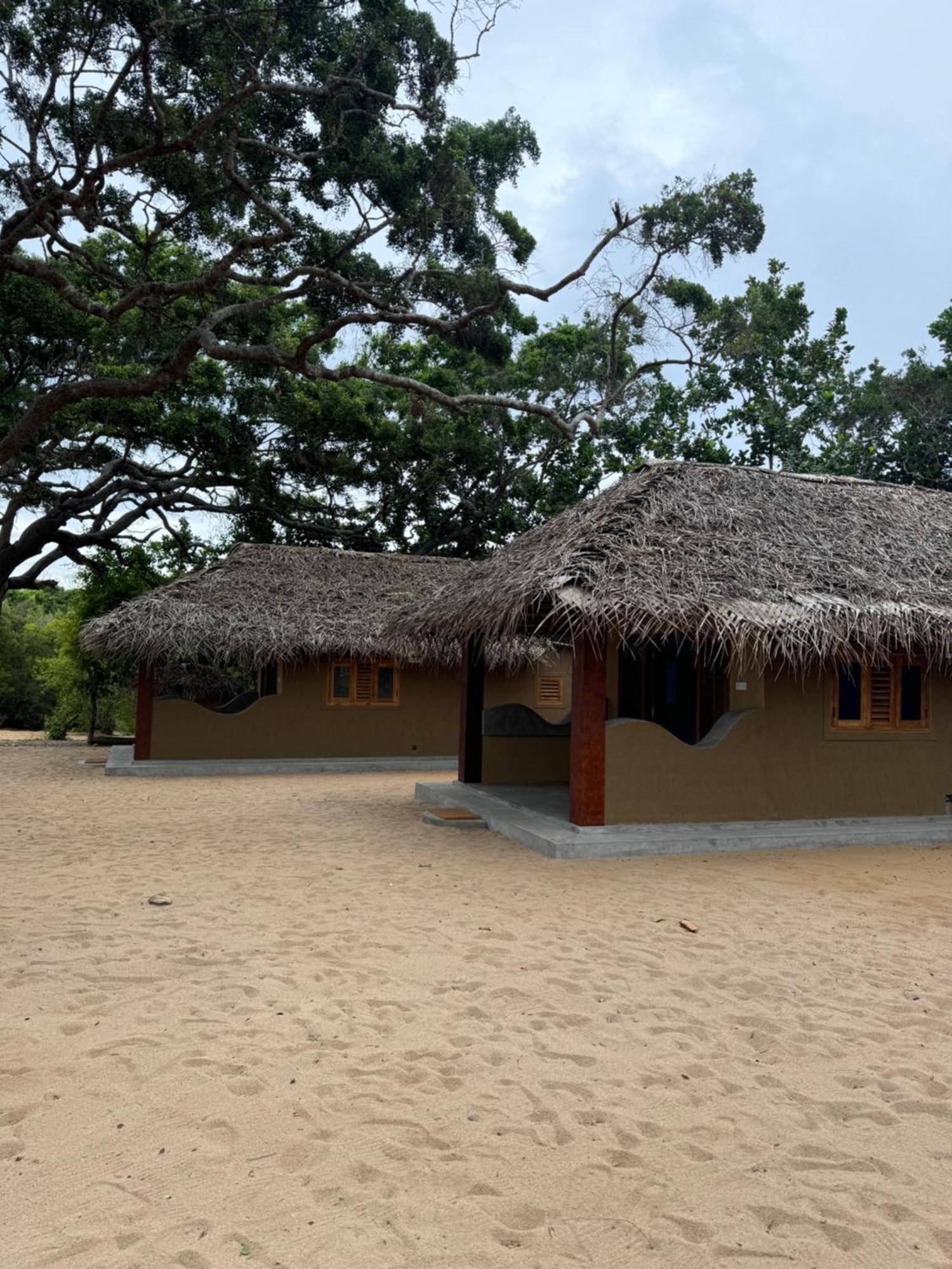 Peanut Farm Surf And Wild Resort - Arugambay Vịnh Arugam Ngoại thất bức ảnh
